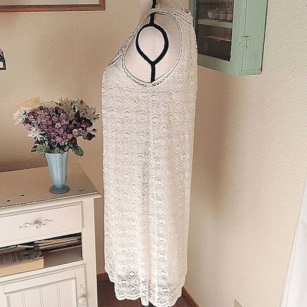NWT Max Studio Lace Shift Dress - Picture 6 of 13
